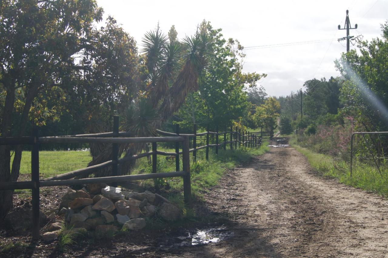 Buffelsdam Country House Kurland Екстер'єр фото